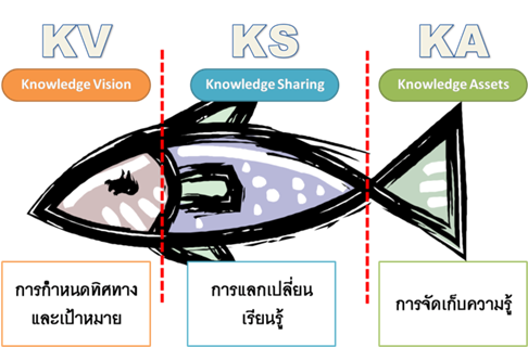 แนวคิดการจัดการความรู้แบบ Tuna model